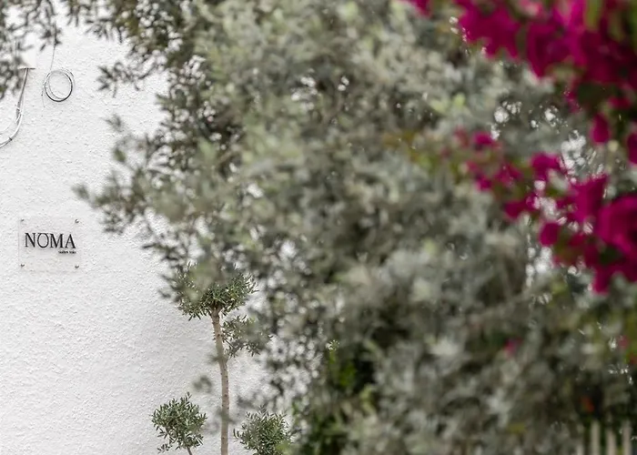 Noma